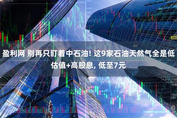 盈利网 别再只盯着中石油! 这9家石油天然气全是低估值+高股息, 低至7元
