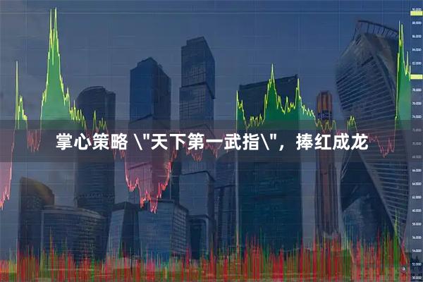 掌心策略 ＂天下第一武指＂，捧红成龙