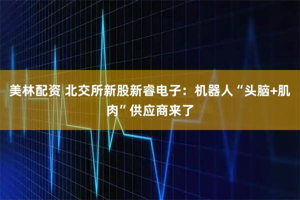 美林配资 北交所新股新睿电子：机器人“头脑+肌肉”供应商来了