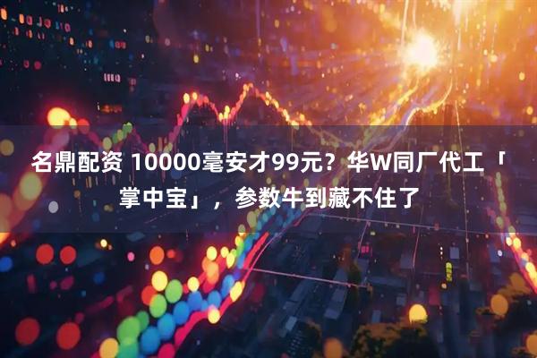 名鼎配资 10000毫安才99元？华W同厂代工「掌中宝」，参数牛到藏不住了