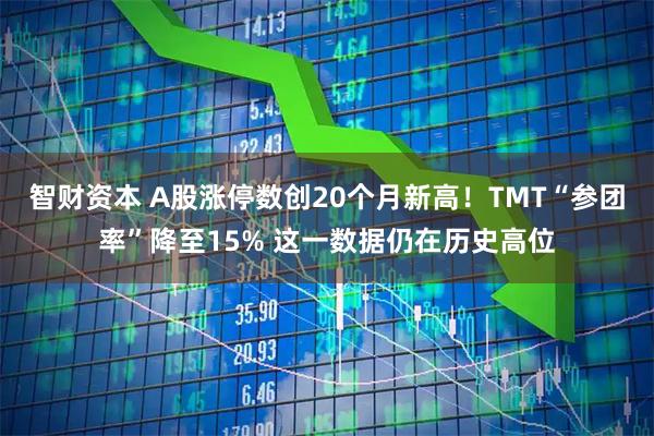 智财资本 A股涨停数创20个月新高！TMT“参团率”降至15% 这一数据仍在历史高位